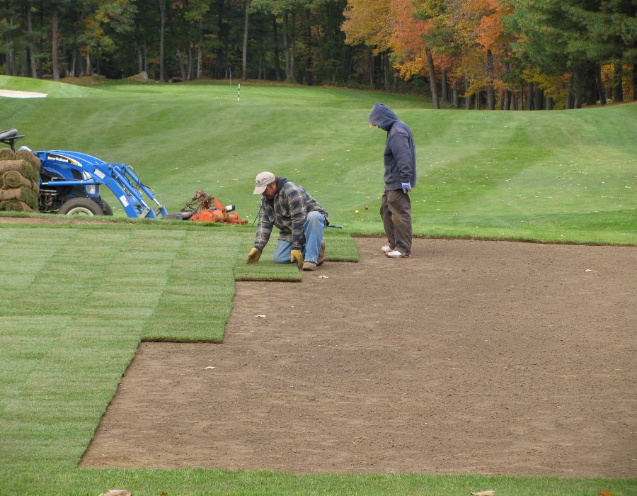 new england turf sod, turf, new lawn, sod installation-230